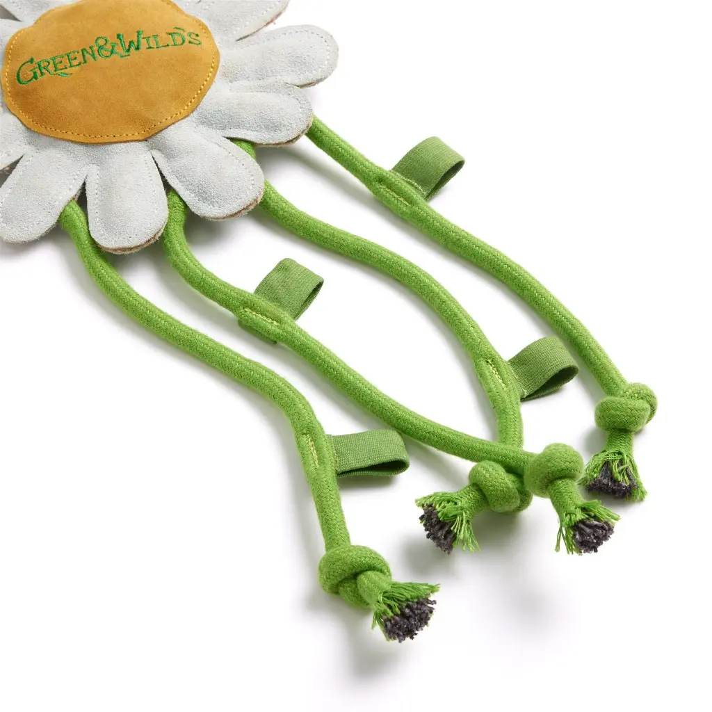Crazy-Daisy-Close-Up-Rope--Carrot-Holders.webp