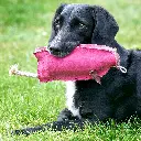 Peggy with dog 1 EDIT.webp