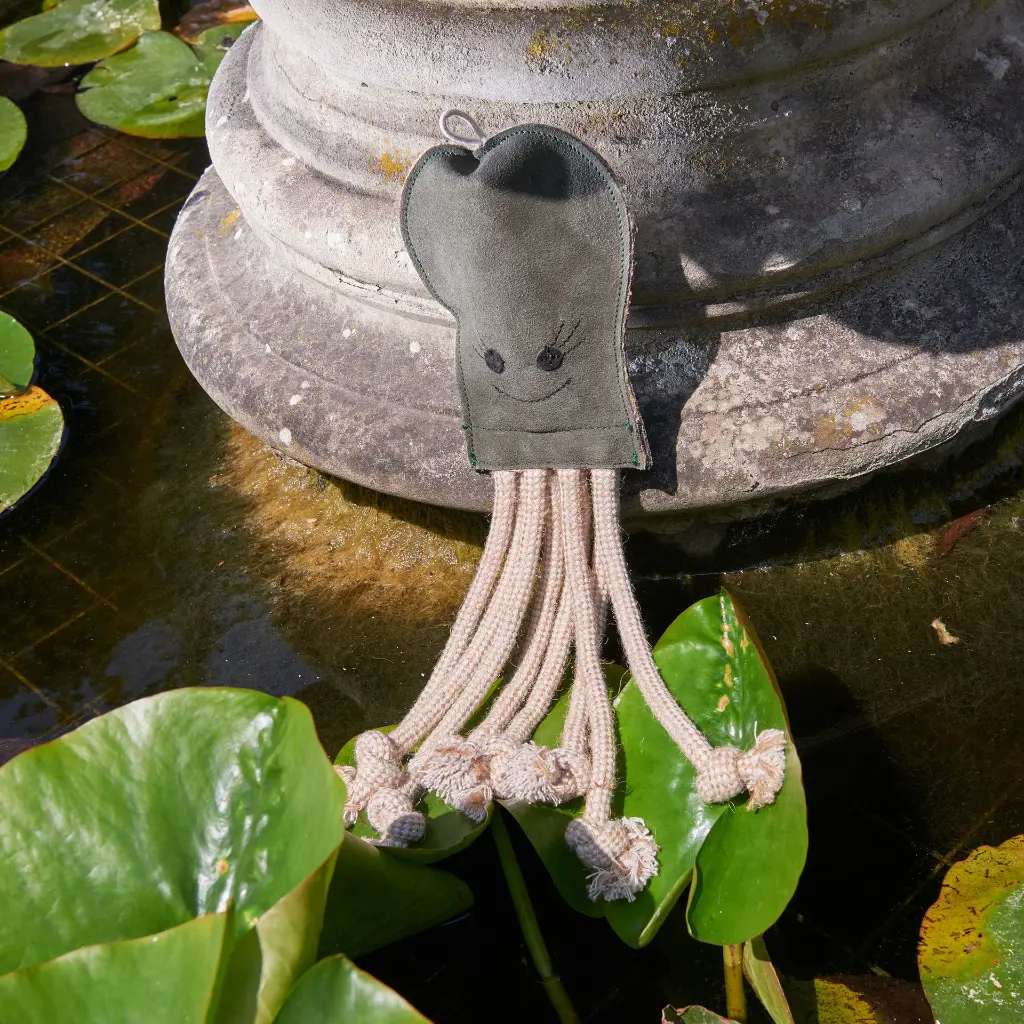 Olive by lilypad.webp