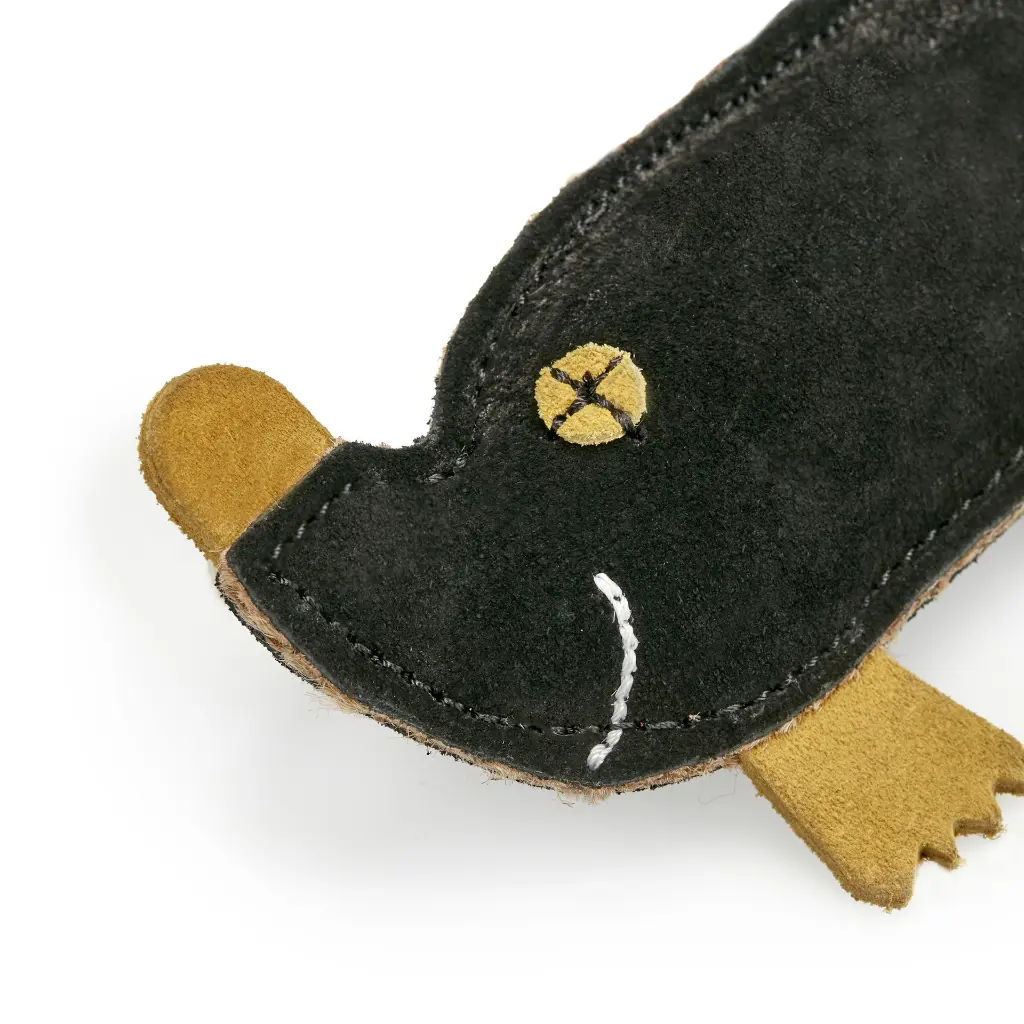 Maggie the Mole Close Up Face.webp