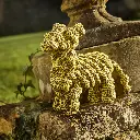 Lionel the Llama Outside Lifestyle Shot.webp