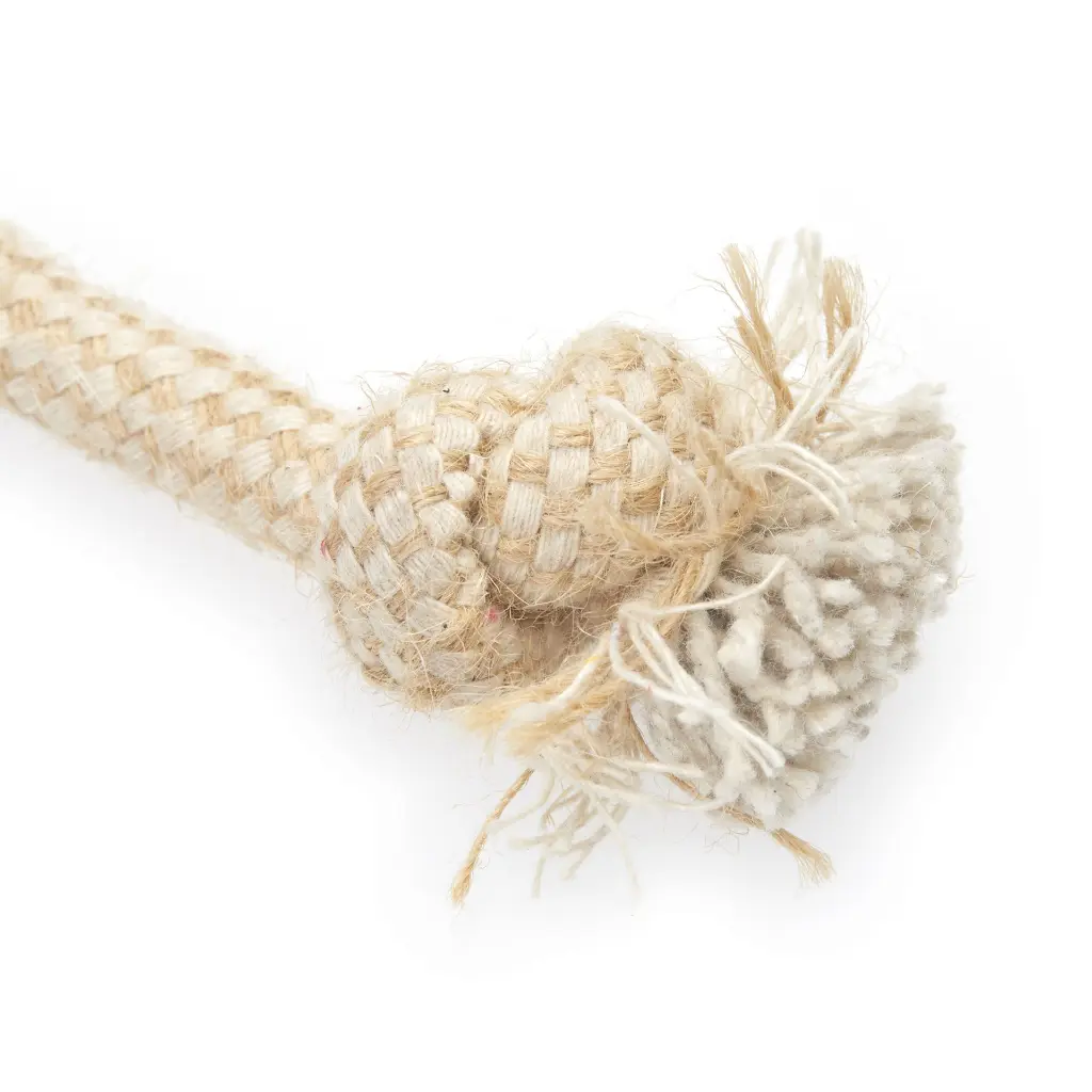 Lily cose up of knot.webp