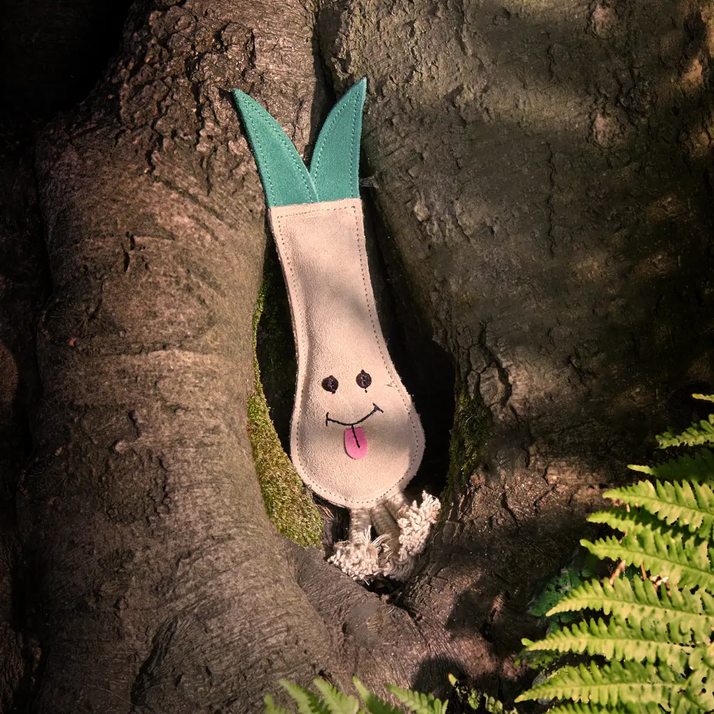 Lenny in tree trunk.webp