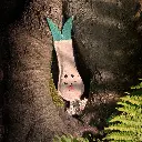 Lenny in tree trunk.webp