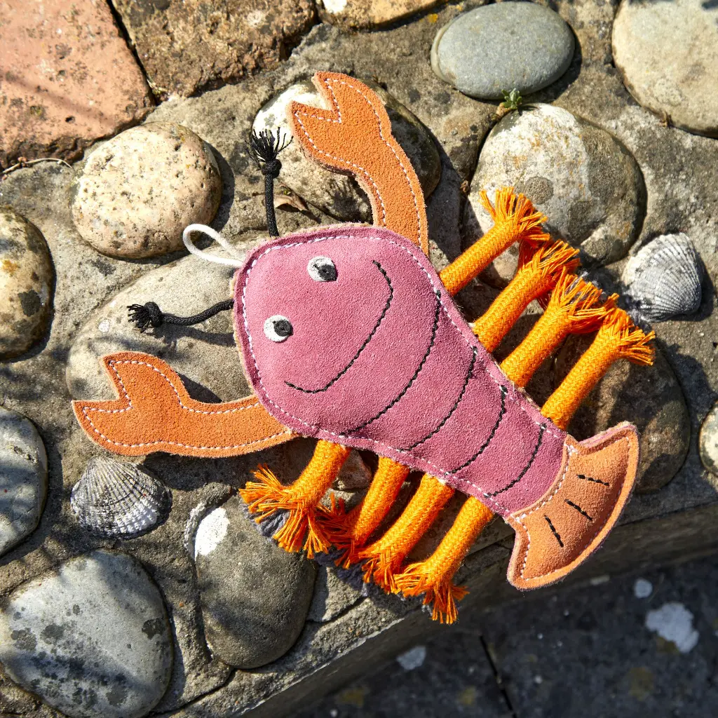 Larry Outdoor Lifestyle.webp