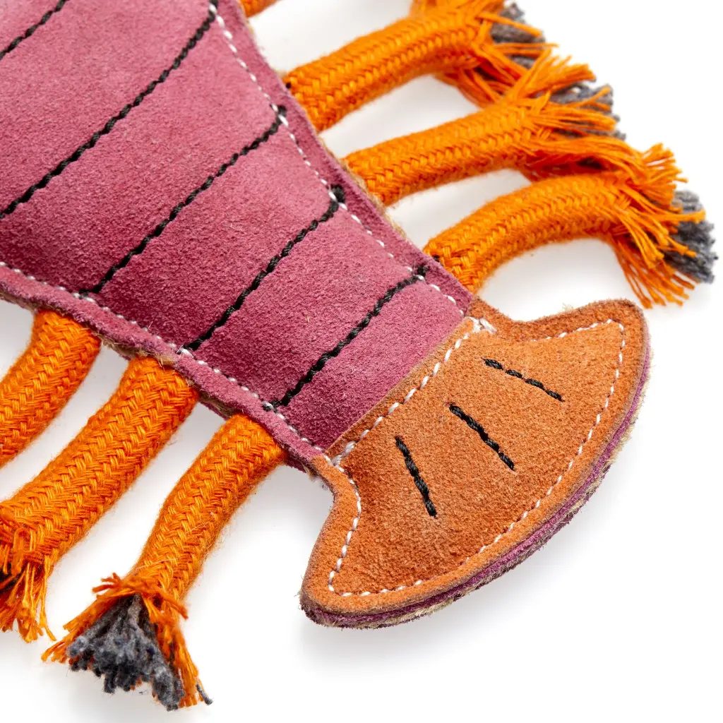 Larry Close Up Tail.webp