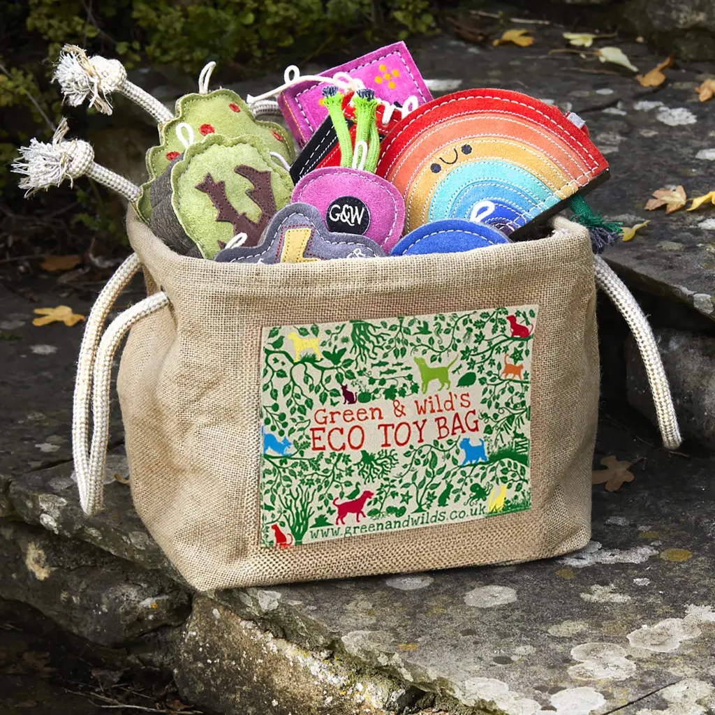 G&W Eco Toy Bag Outdoor Lifestyle Image.webp