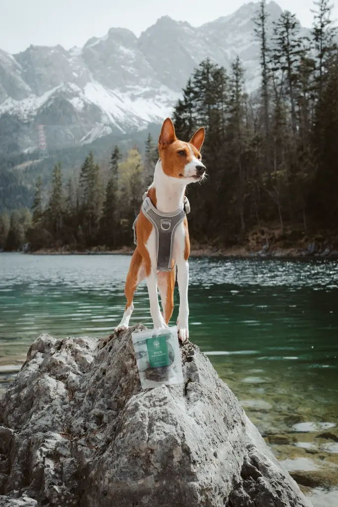 Mini Delights_ @yagohmeetstheworld.webp