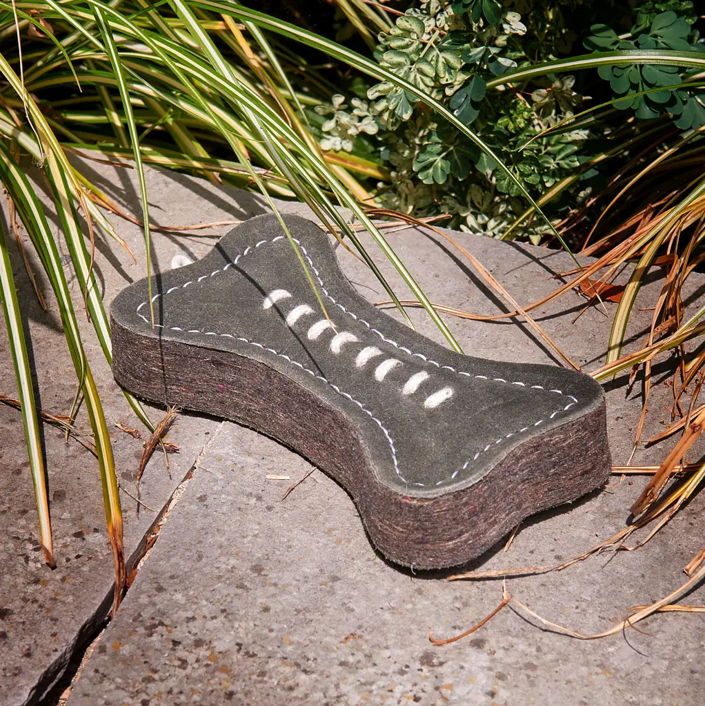 Green bone outside on wall.webp