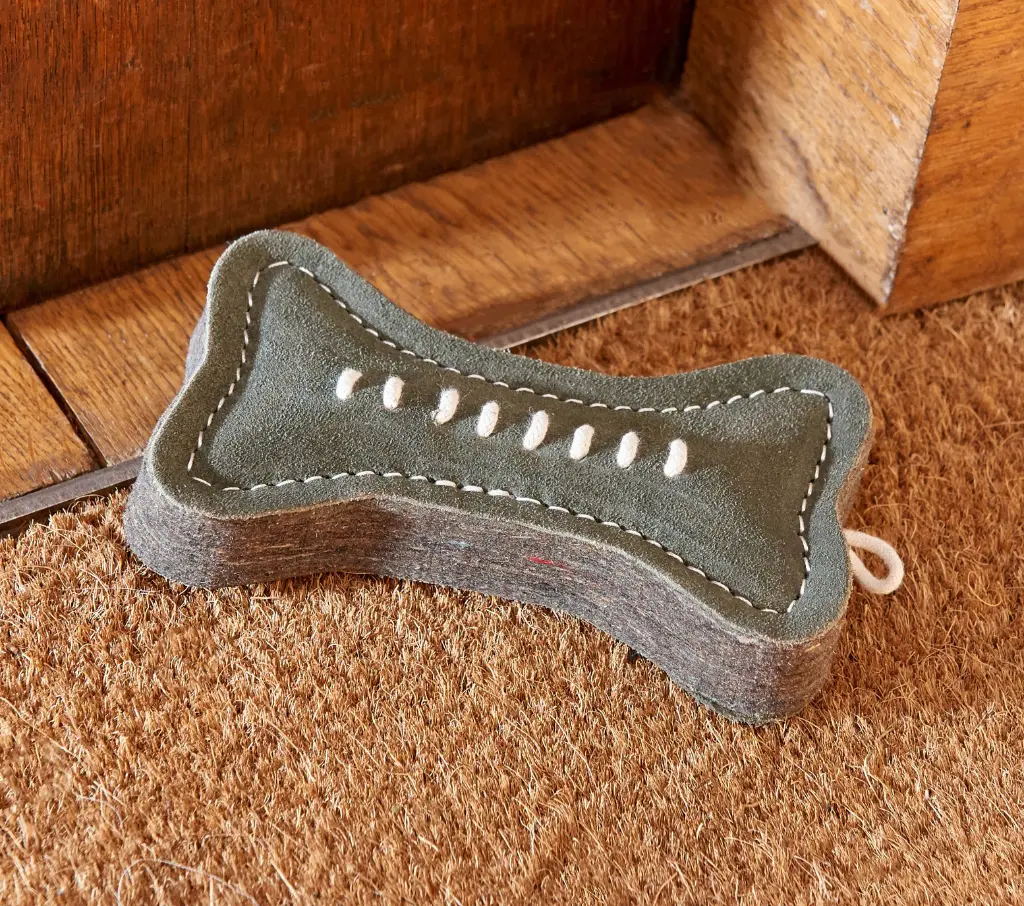 Green bone by cupboard.webp