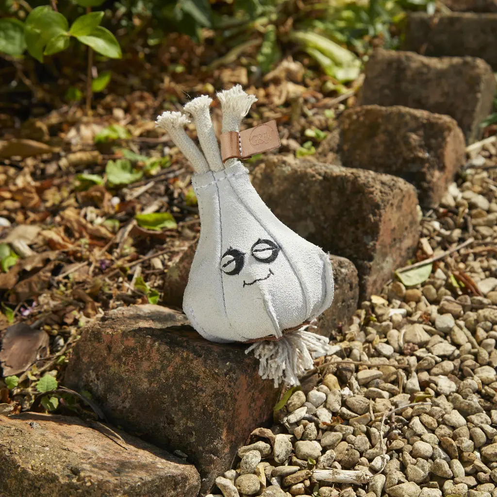 Gary the Garlic outdoor lifestyle.webp