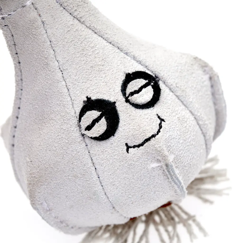 Gary the Garlic close up face.webp