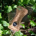 Funny bone outside lifestyle.webp