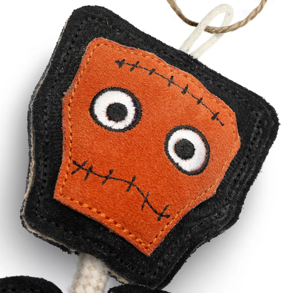 Frankie Stein - Close Up Head.webp