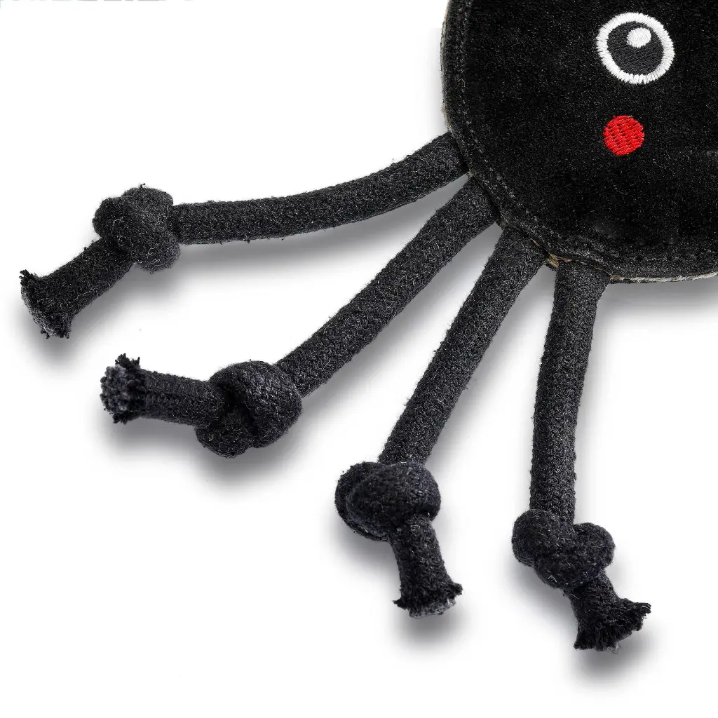Fangus - Close Up  Jute legs.webp