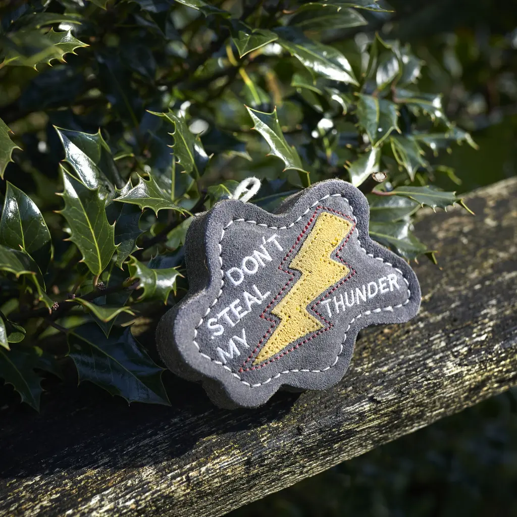 DSM Thunder Outdoor Lifestyle Image.webp