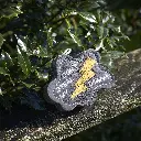 DSM Thunder Outdoor Lifestyle Image.webp