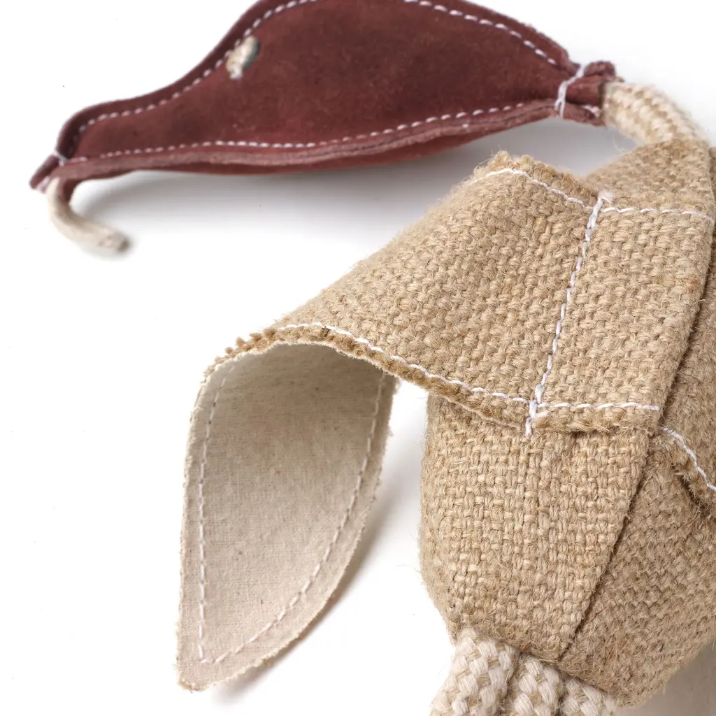 Desmond close up 1.webp