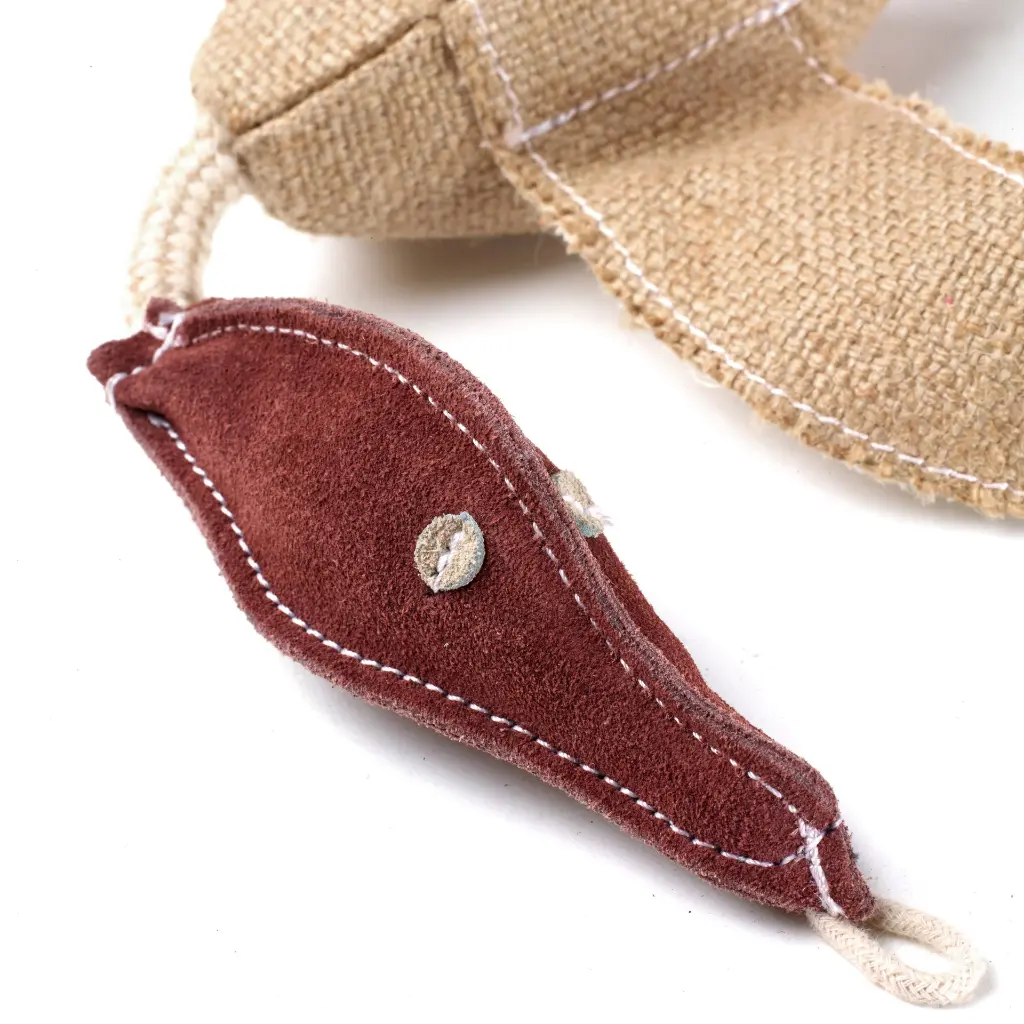 Desmond close up 2.webp