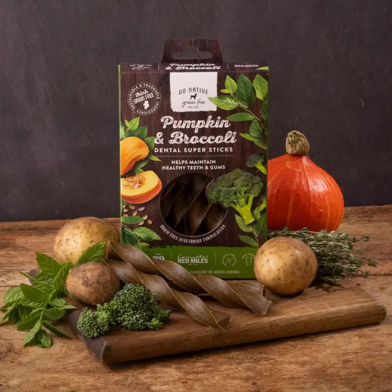 GoNativeDentalSuperStickswithPumpkin_Broccoli_2_800x.webp