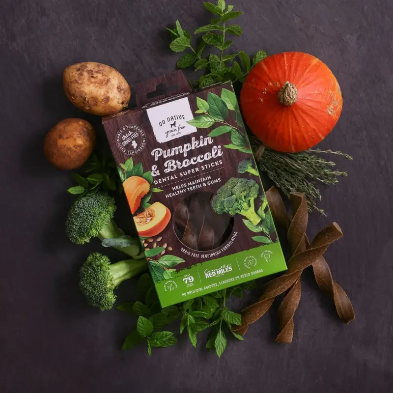 GoNativeDentalSuperStickswithPumpkin_Broccoli_1_800x.webp