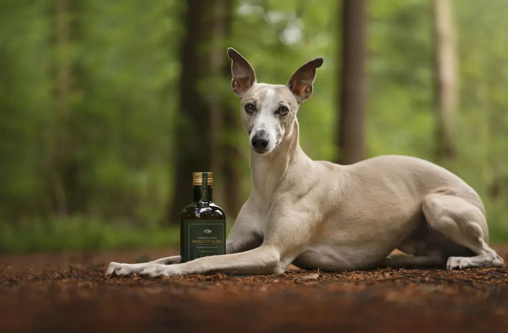 Mobility Blend @miles_whippet.webp