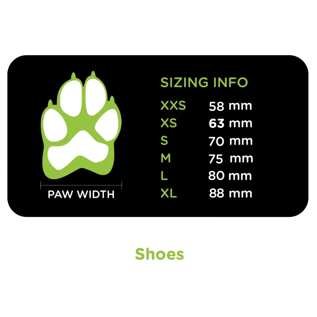 EQDOG_MeasurementDiagram_3-Shoes.w1220.h1220.fill.webp