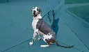 _55A9012-Edit2.webp