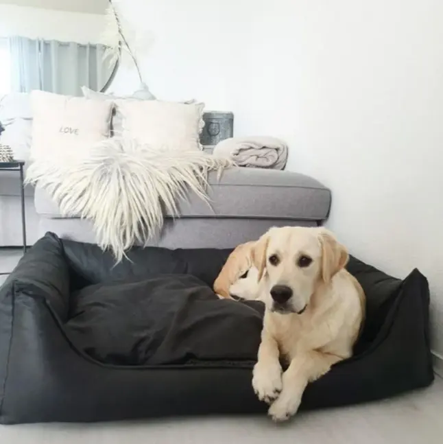 MN sofa lederlook teddy antraciet foto.webp