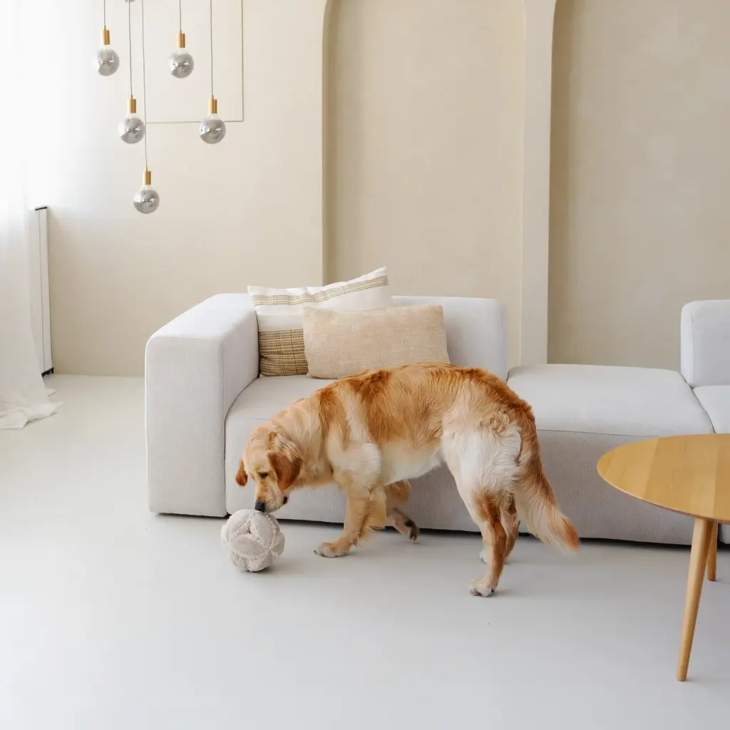 bobby lifestyle 1.webp