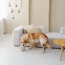 bobby lifestyle 1.webp