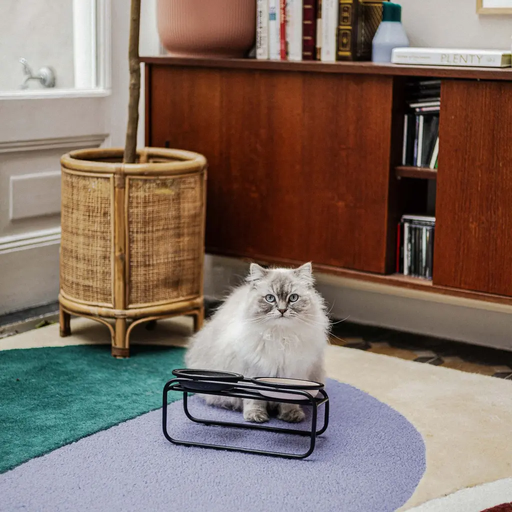 butler kat lifestyle 2.webp