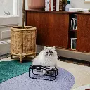 butler kat lifestyle 2.webp