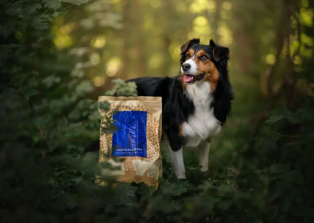 nautical 3 @amieaussie (3).webp