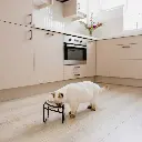 butler kat single lifestyle 1.webp