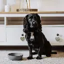 bamboo bowl lifestyle 2.webp