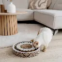 bloom lifestyle 2.webp