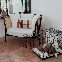 crate lifestyle 2.webp