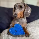 Timmy-Truelove-copy.webp