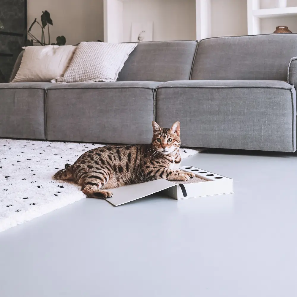 coffee table lifestyle 2.webp