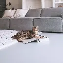 coffee table lifestyle 2.webp