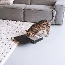 coffee table lifestyle.webp