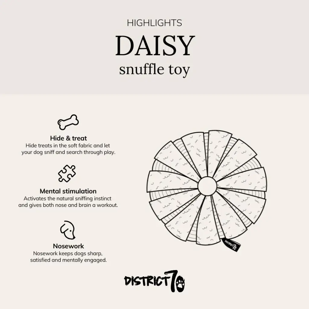 daisy.webp