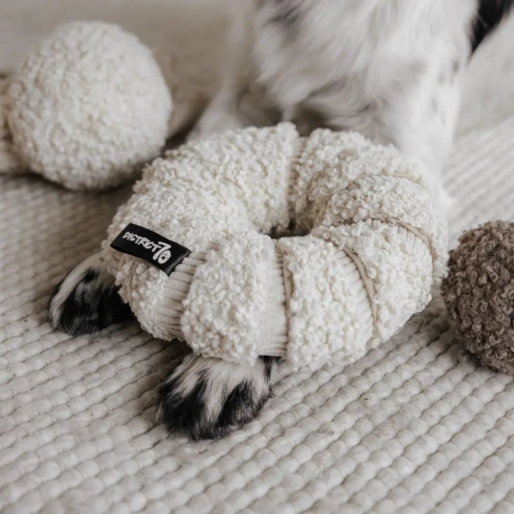 daisy lifestyle 2.webp