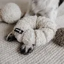 daisy lifestyle 2.webp