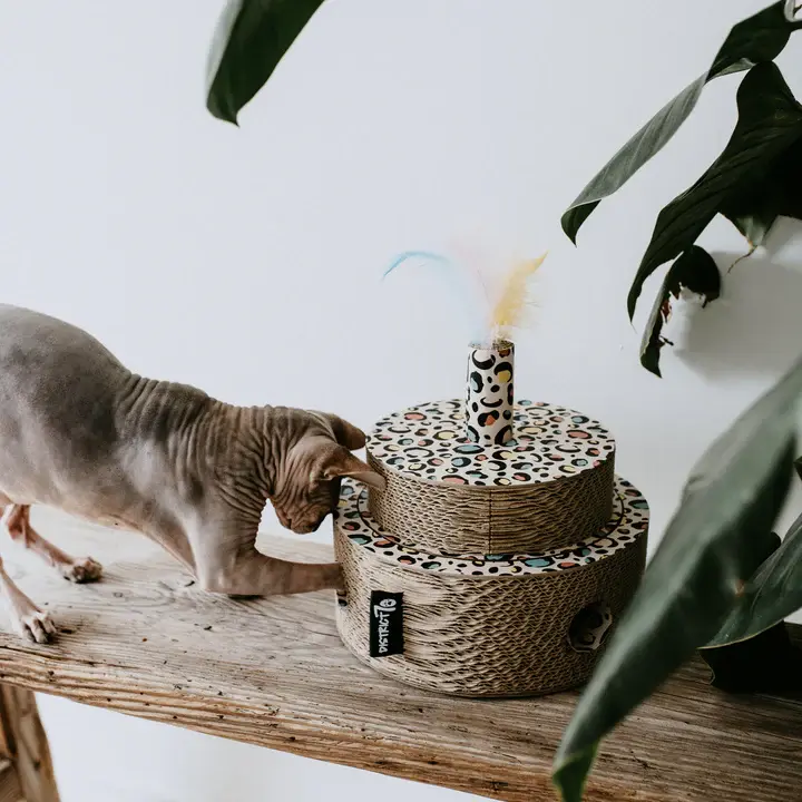 fiesta lifestyle 2.webp