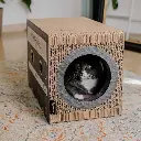 mixtape lifestyle 2.webp