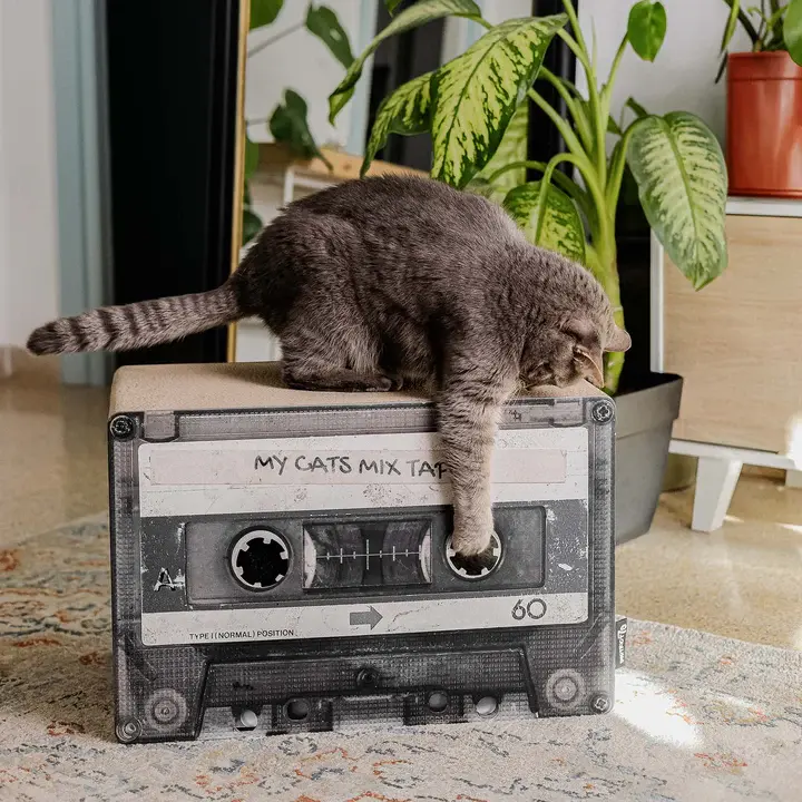 mixtape lifestyle.webp