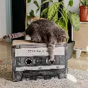 mixtape lifestyle.webp