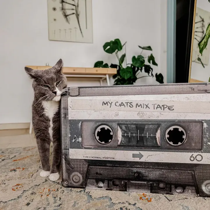 mixtape lifestyle 3.webp